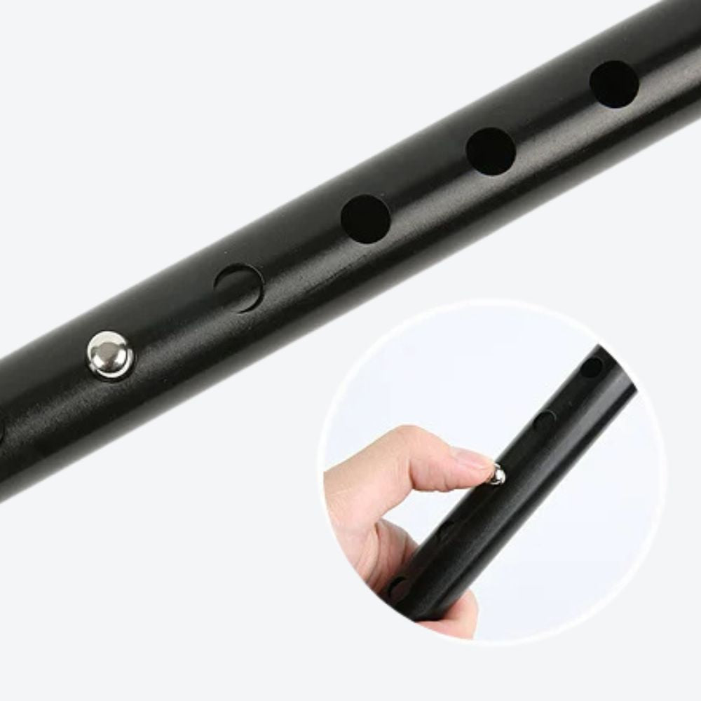 Elegant Cane with LED Flashlight, Single Black Tip, Bastoni