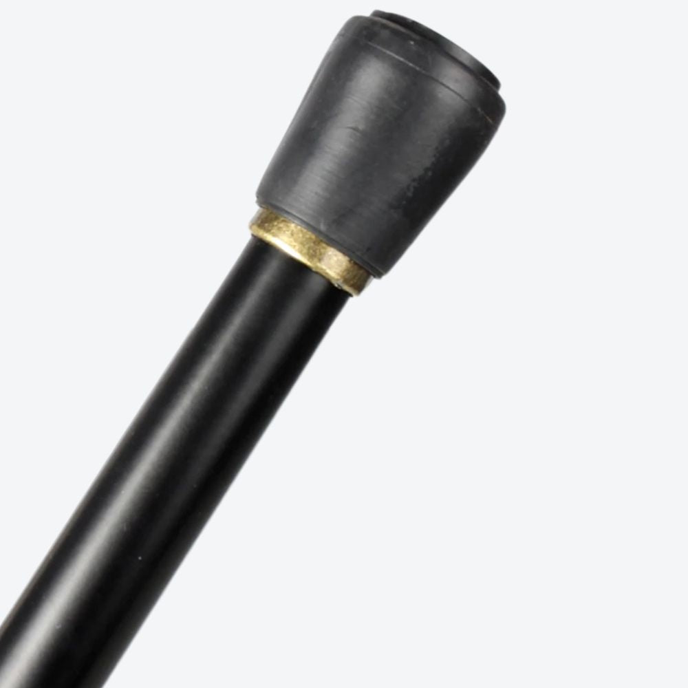 Bastoni Moscow Style Elegant Luxury Walking Stick