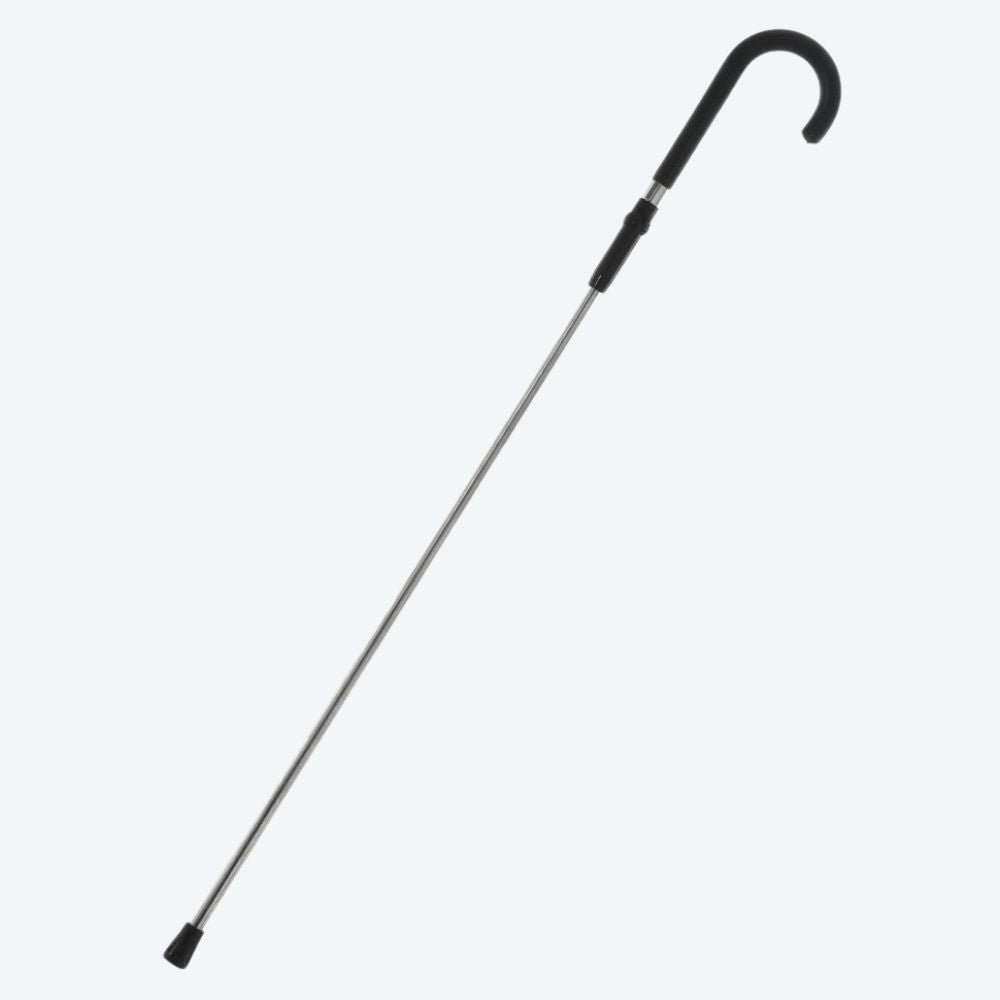 Elegant Modern Stainless Steel Cane - Bastoni