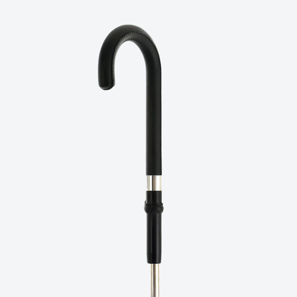 Elegant Modern Stainless Steel Cane - Bastoni