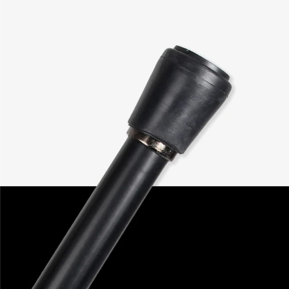 Luxury Elegant Cane Royal Silver/Gold Bastoni Cane