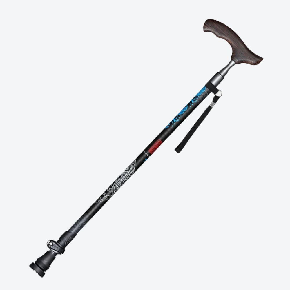 Black Oriental Style Carbon Fiber Walking Stick Lisa Bastoni