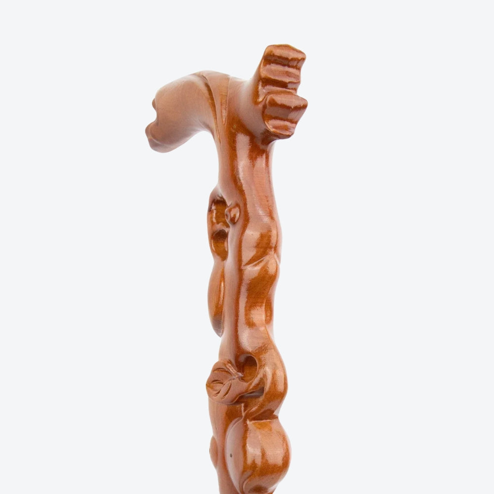 Wooden Walking Stick Roots of the Tree of Life - Bastoni