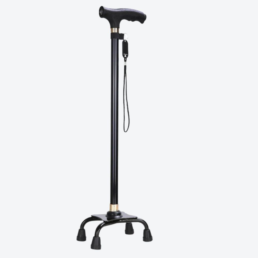 Elegant Cane with LED Flashlight, Single Black Tip, Bastoni