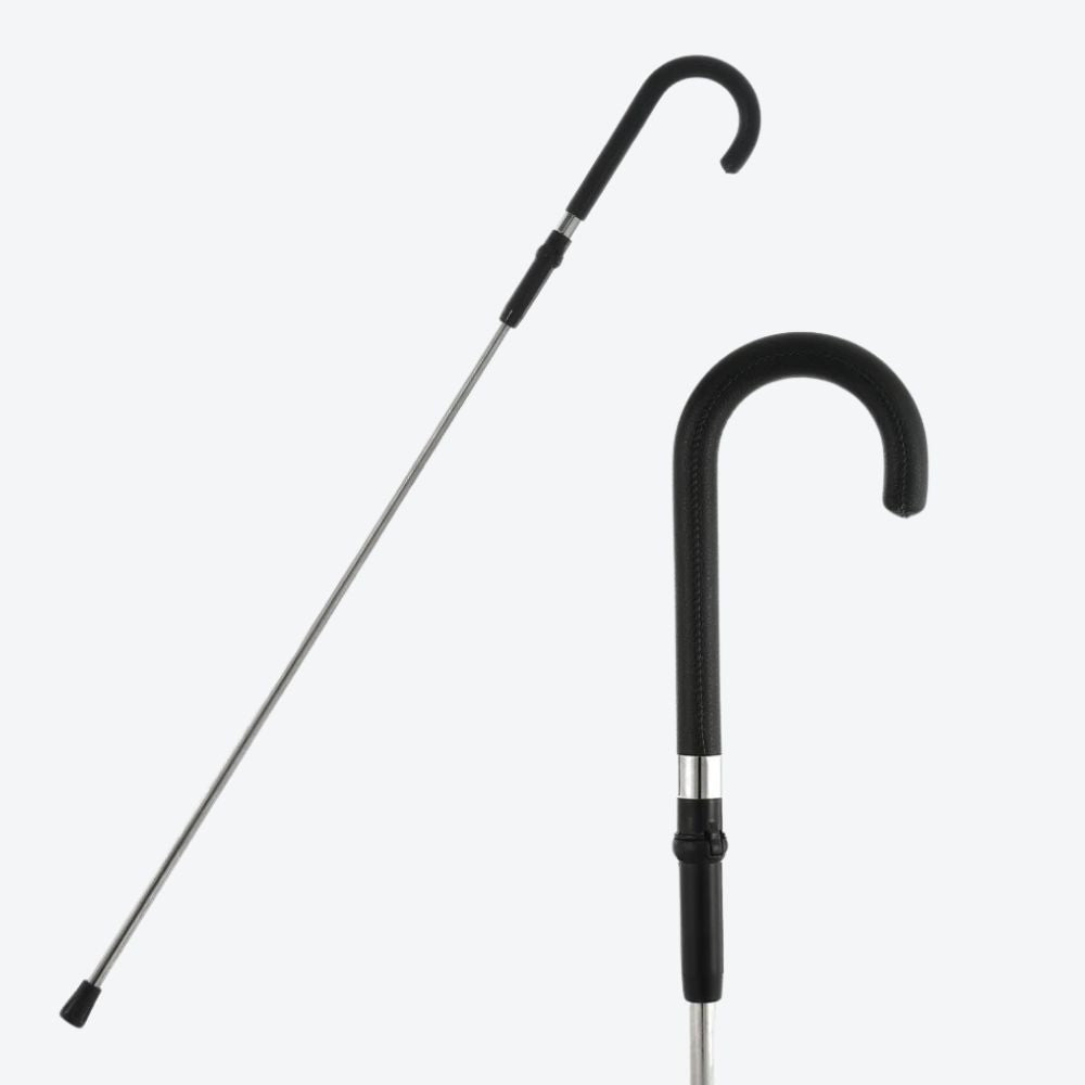 Elegant Modern Stainless Steel Cane - Bastoni