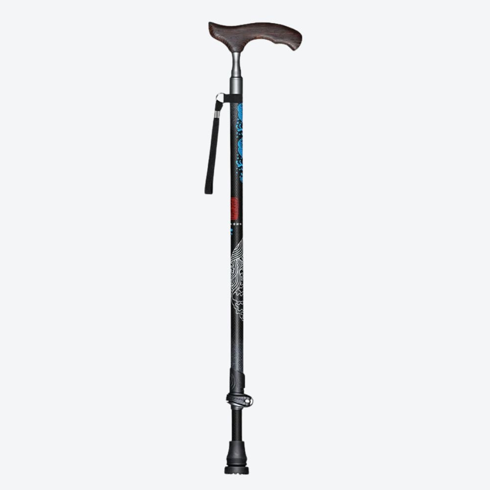 Black Oriental Style Carbon Fiber Walking Stick Lisa Bastoni