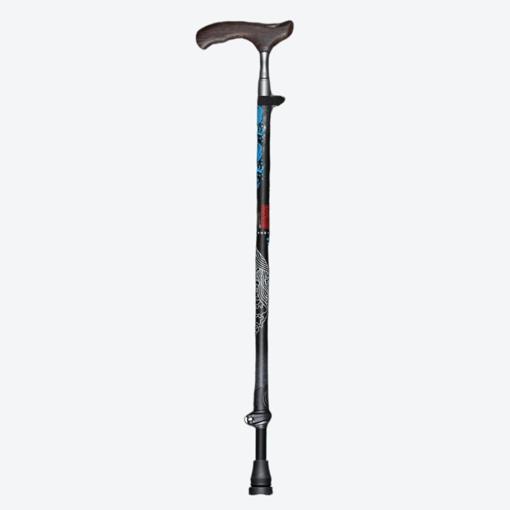 Black Oriental Style Carbon Fiber Walking Stick Lisa Bastoni