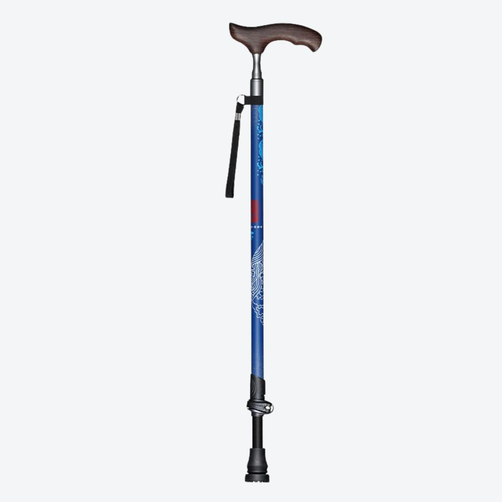 Black Oriental Style Carbon Fiber Walking Stick Lisa Bastoni