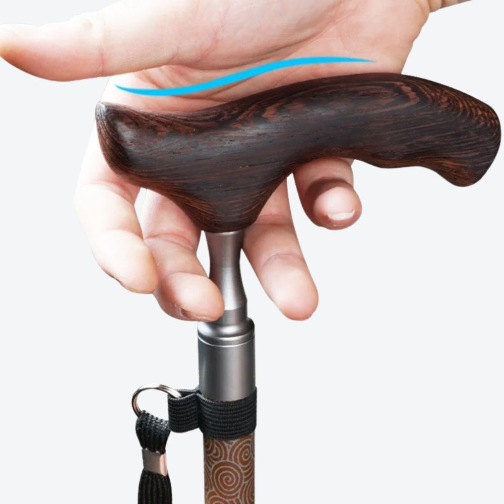 Black Oriental Style Carbon Fiber Walking Stick Lisa Bastoni